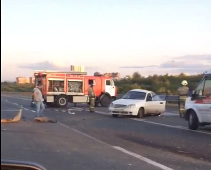 Кадр из видео в vk.com/spb_today